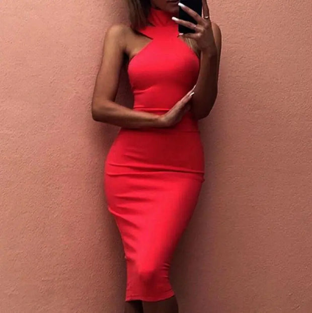 Fitted Neck Dress For Women